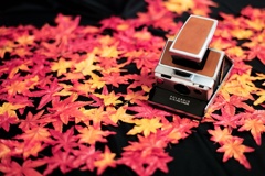 SX-70の秋