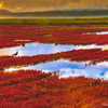 道東の秋 能取湖 ＜湖が赤く染まり、鳥たちが秋の訪れを感じる時。＞
