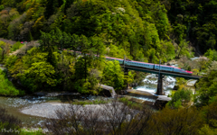 東北の春 ～緑を駆ける！瞬(とき)。～