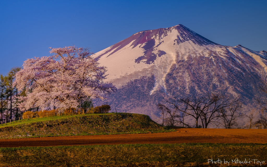 東北の春 八幡平の朝 ～朝陽に照らされ静かに佇む。～