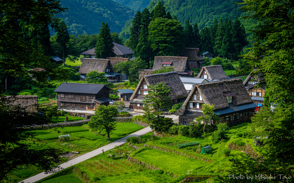 五箇山 相倉合掌造り ～緑に囲まれた集落の朝。～