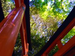 紅と翠