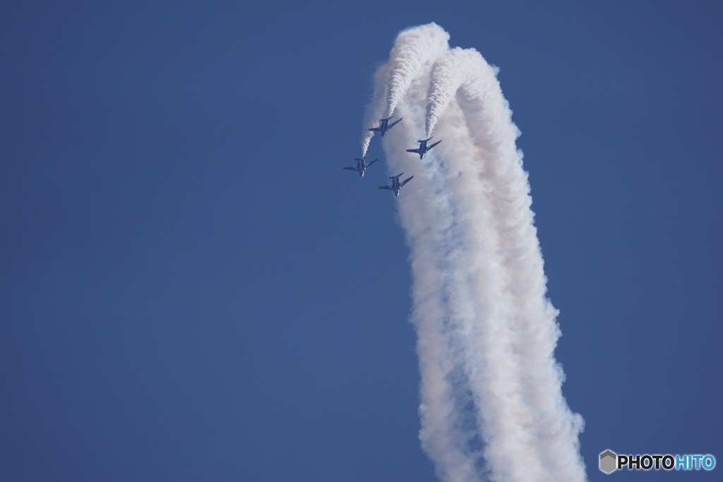 空飛ぶイルカ20190325