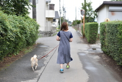 雨上がりの散歩