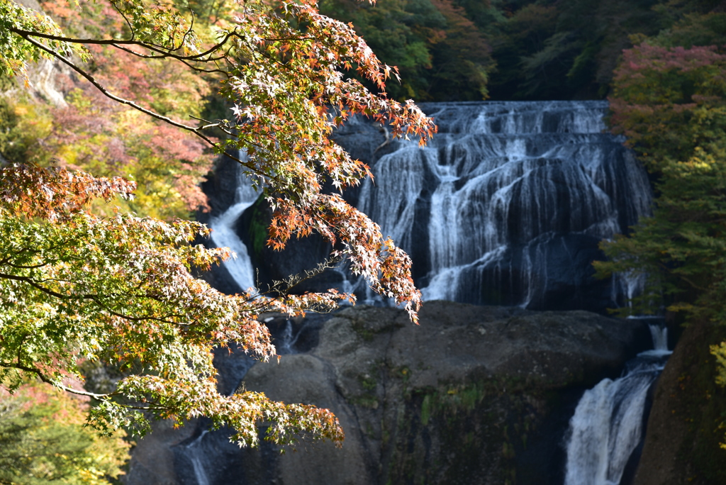 袋田の滝