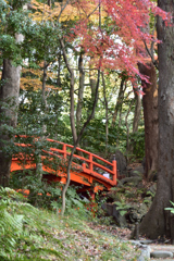 赤い橋 小石川後楽園