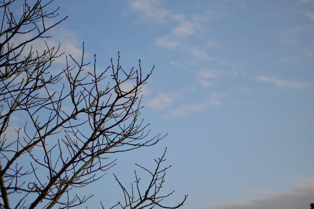 秋空