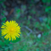 花火