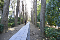 太田黒公園