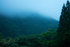 朝霧の景色