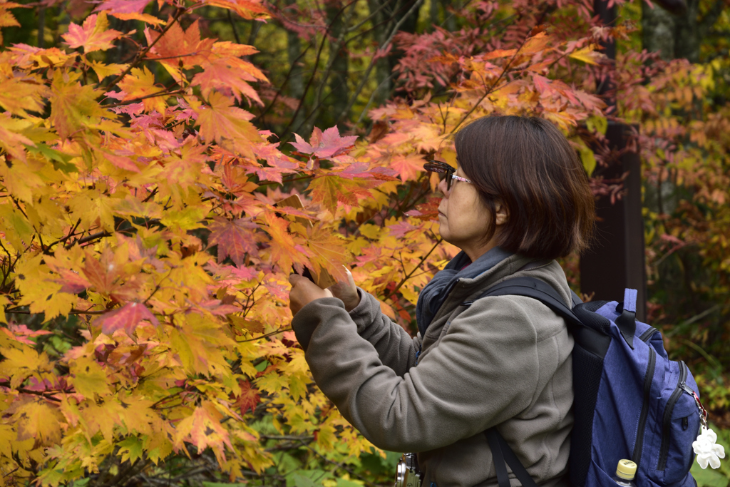 時には紅葉を撮る