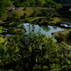 金沢城公園・玉泉院丸庭園見下ろす