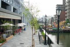 川岸の風景