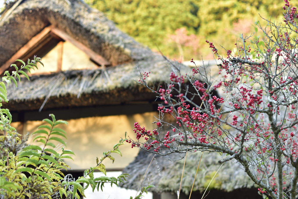 陣屋の庭