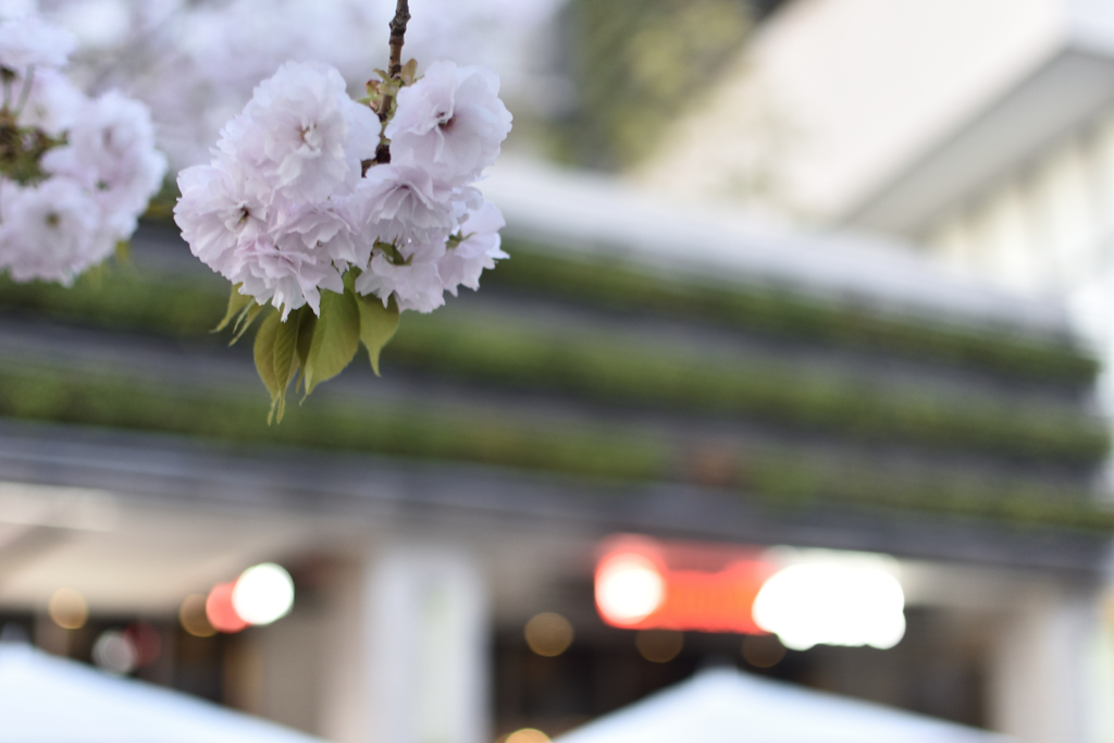 BAR看板の前