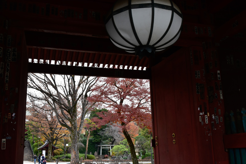 護国寺　山門から