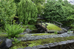 緑豊か　湯島天神梅園