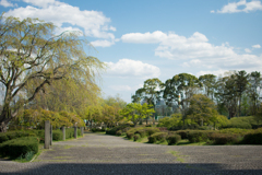 公園通り２