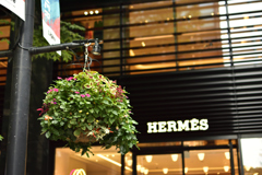 HERMES