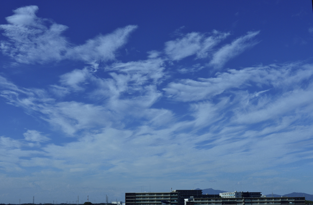 今日の空