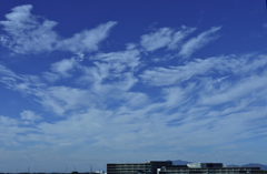 今日の空