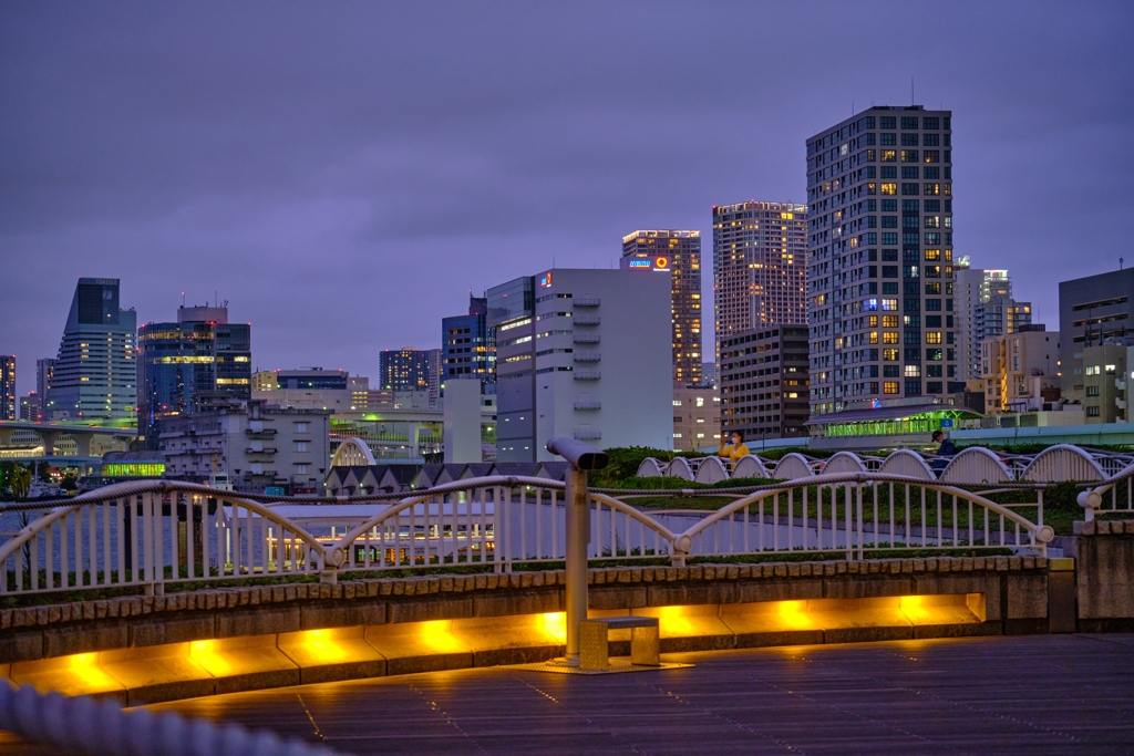 竹芝夕景