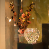 Show window ３