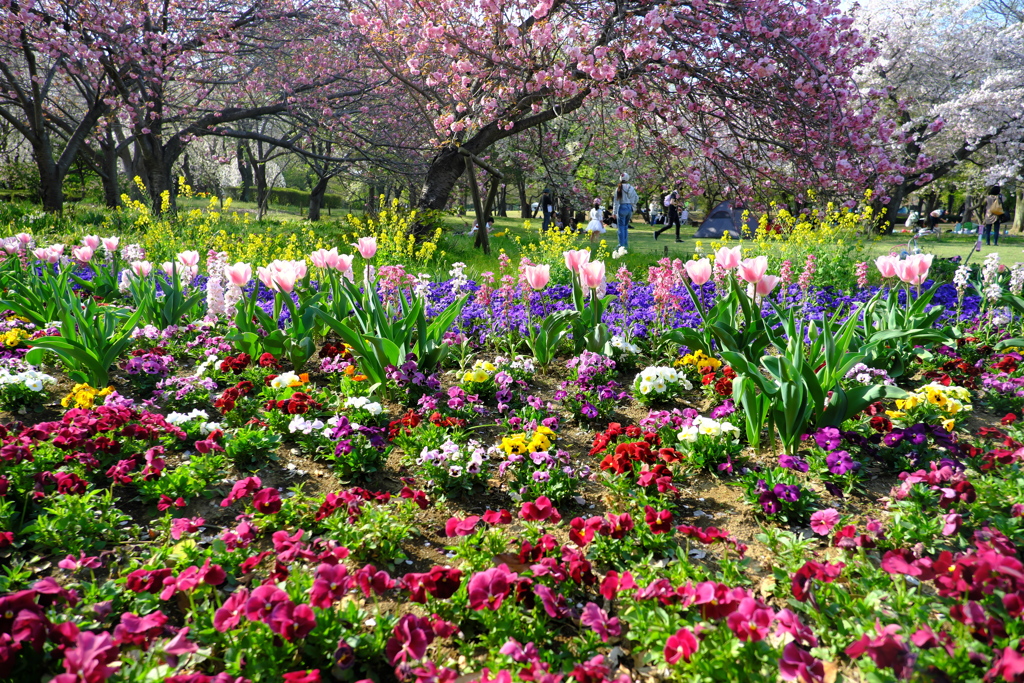 公園の花壇