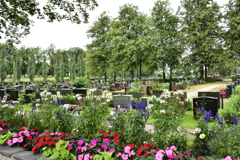 Hietaniemi墓地 Helsinki