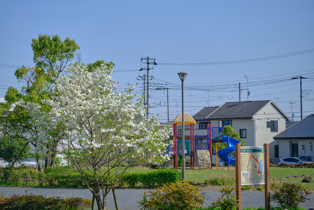 石の公園