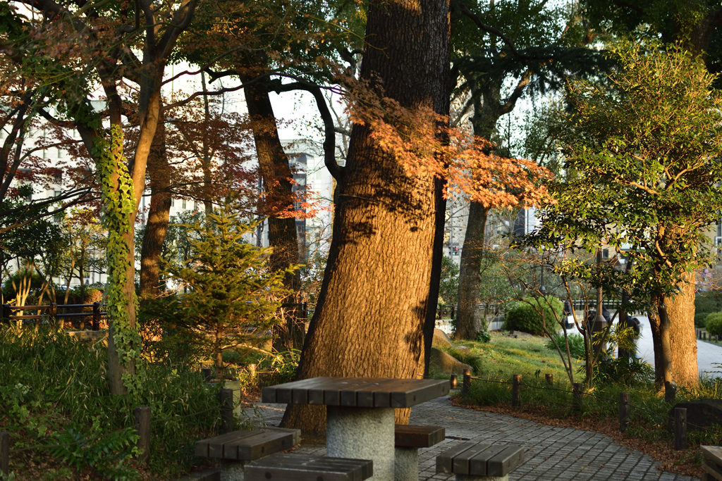 冬の夕陽