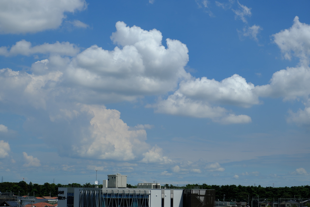 雲