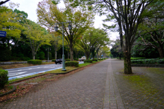公園に隣接する歩道