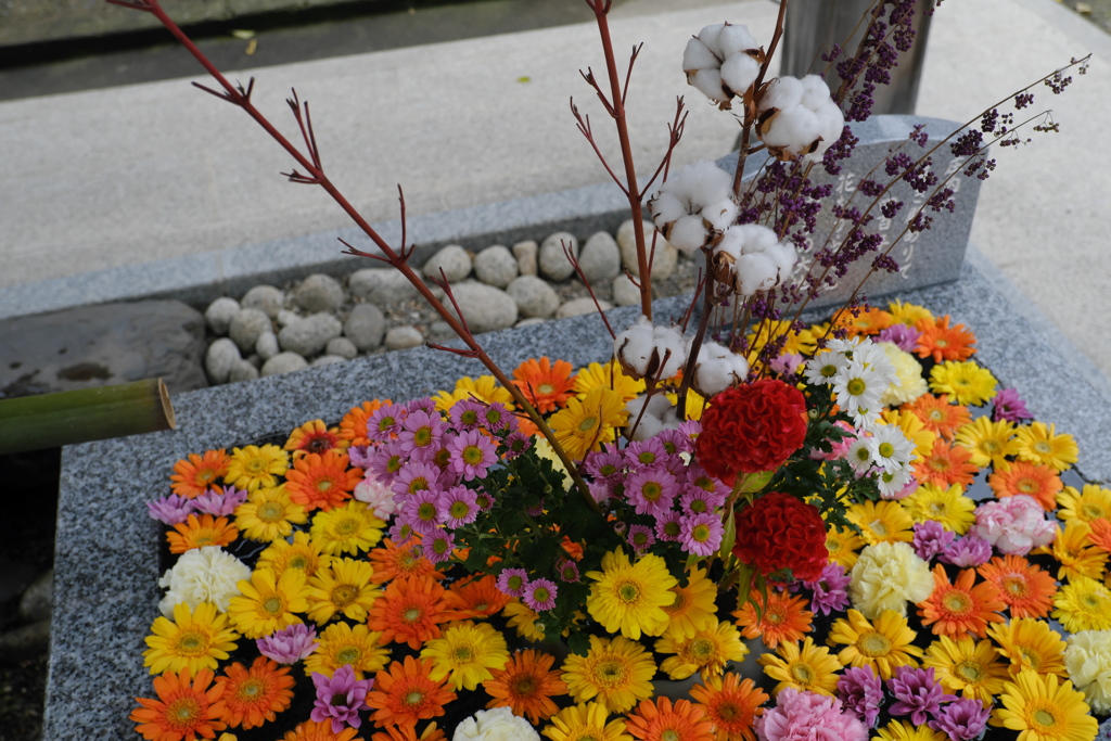 鶴岡市・荘内神社の花手水