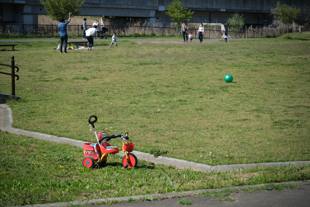 日曜日のさくら公園