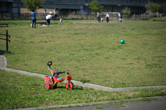 日曜日のさくら公園