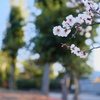 春はもうすぐ