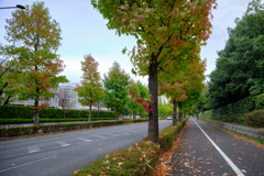 駅に続く道