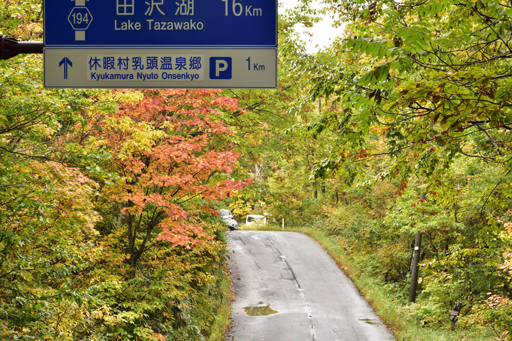 田沢湖に至る道