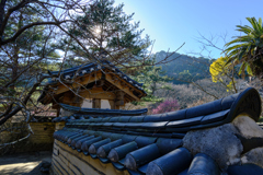 韓国庭園の門