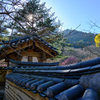 韓国庭園の門