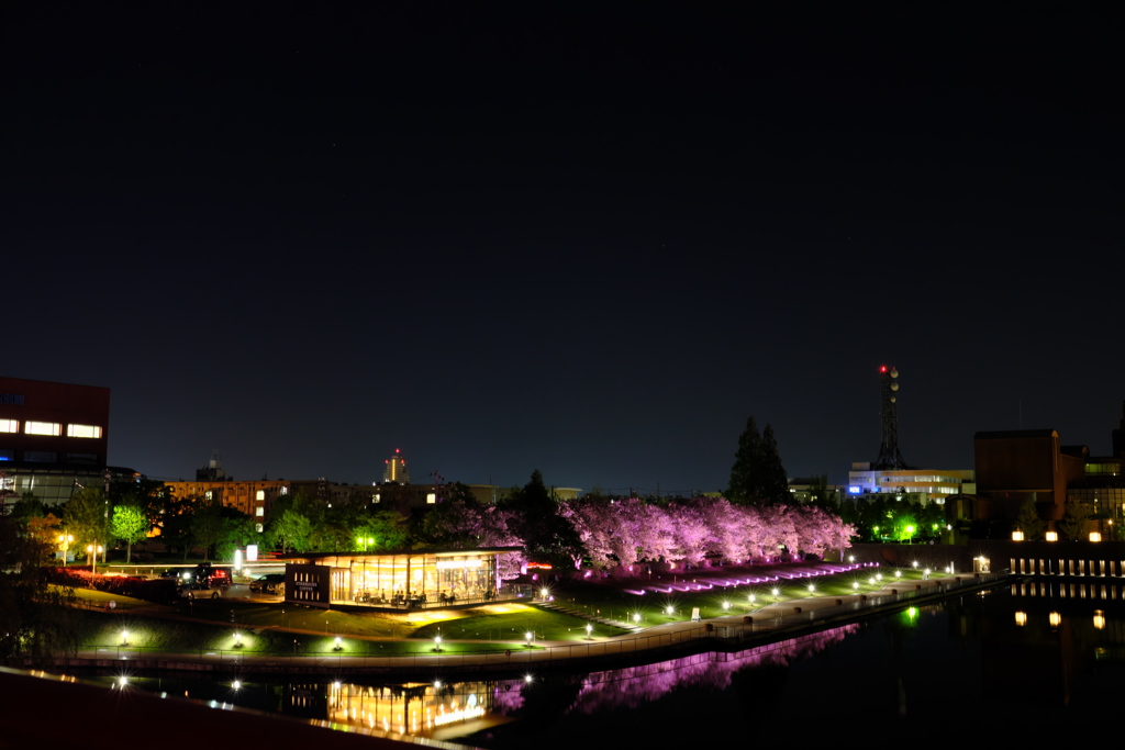 夜の環水公園・スタバ