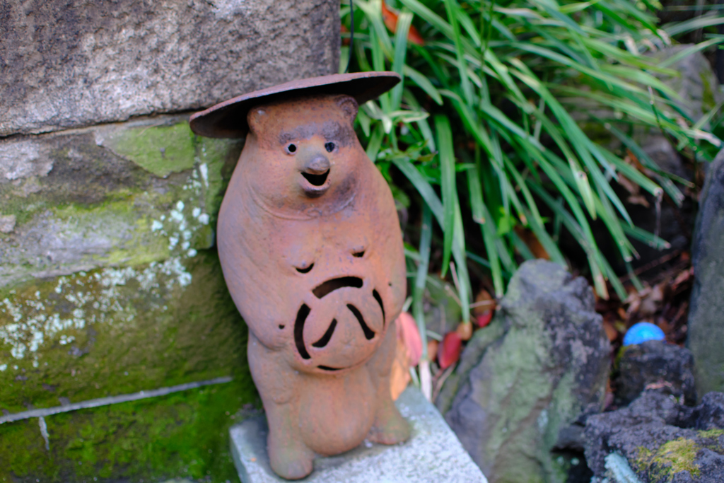 柳森神社で見つけた狸？