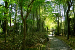 竹林の小径