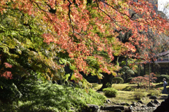 涵徳亭の庭園望む