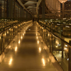 夜の東京国際フォーラム１