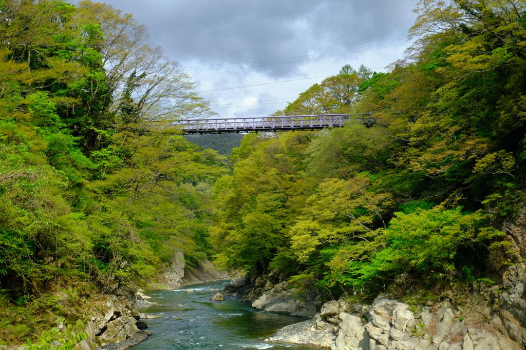 橋