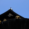 尾山神社・蓮の葉にカエル