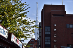 浅草公会堂