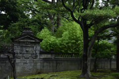 緑豊か　旧岩崎庭園